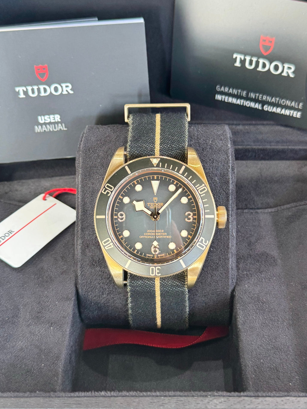 2024 Tudor Black Bay Bronze Watch