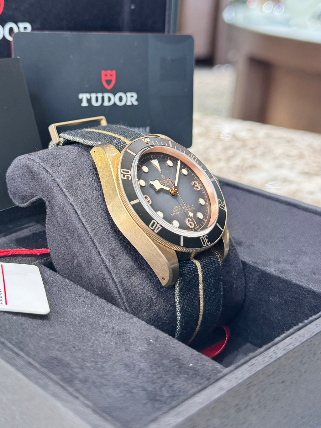 2024 Tudor Black Bay Bronze Watch