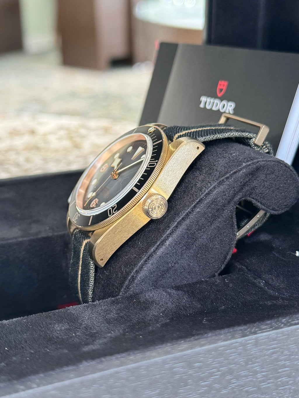 2024 Tudor Black Bay Bronze Watch