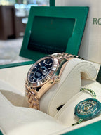 2024 Rolex Sky-Dweller 336935 Watch