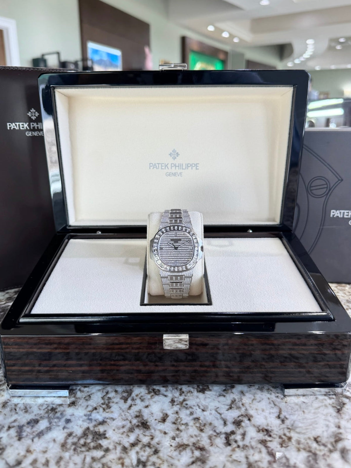 2024 Patek Philippe Nautilus 5719/10G-010 Watch