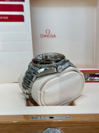 2017 Omega Seamaster Planet Ocean 600M Watch