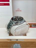 2017 Omega Seamaster Planet Ocean 600M Watch